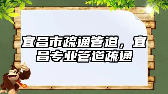 宜昌市疏通管道，宜昌專(zhuān)業(yè)管道疏通