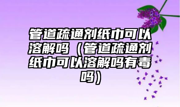 管道疏通劑紙巾可以溶解嗎（管道疏通劑紙巾可以溶解嗎有毒嗎）