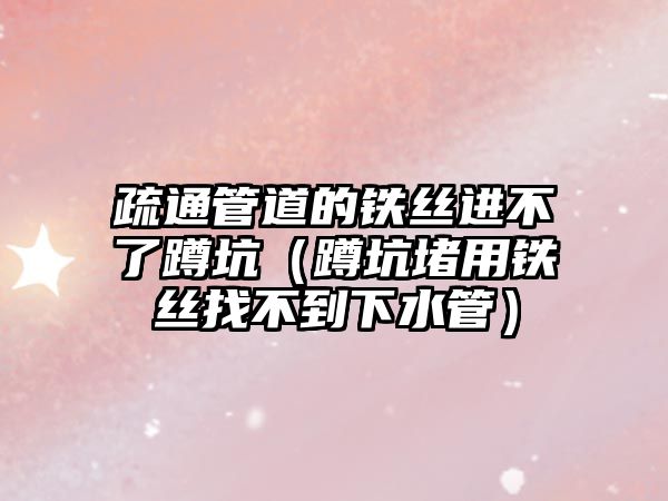 疏通管道的鐵絲進(jìn)不了蹲坑（蹲坑堵用鐵絲找不到下水管）