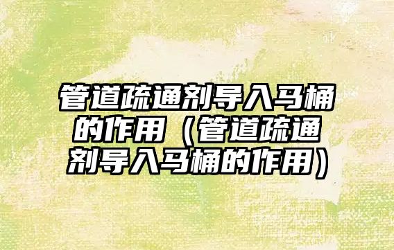 管道疏通劑導(dǎo)入馬桶的作用（管道疏通劑導(dǎo)入馬桶的作用）